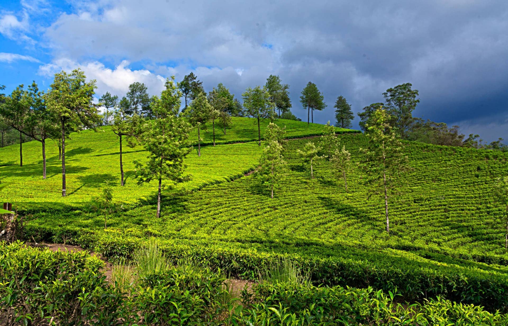 Landscape photography on PixHorizon